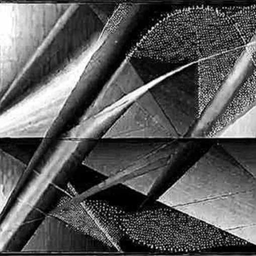 The Meta Model Leak: A Signal in the Noise or a Market Shift? The Meta Model Leak: A Signal in the Noise or a Market Shift?