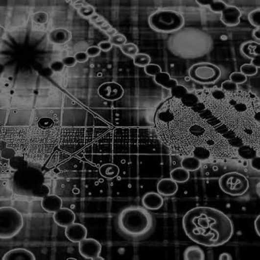 When Missiles Fly, the Ledger Remains: The Silent Geopolitical Audit of Crypto’s Resilience When Missiles Fly, the Ledger Remains: The Silent Geopolitical Audit of Crypto’s Resilience