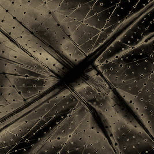 The $1 Trillion Tightrope: Why AI Hyperscaler Debt Could Become Crypto’s Greatest Liquidity Crisis The $1 Trillion Tightrope: Why AI Hyperscaler Debt Could Become Crypto’s Greatest Liquidity Crisis