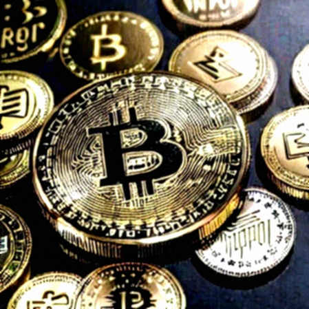The Useless Paradox: What a Token Called USELESS Reveals About Our Market's Hollow Core